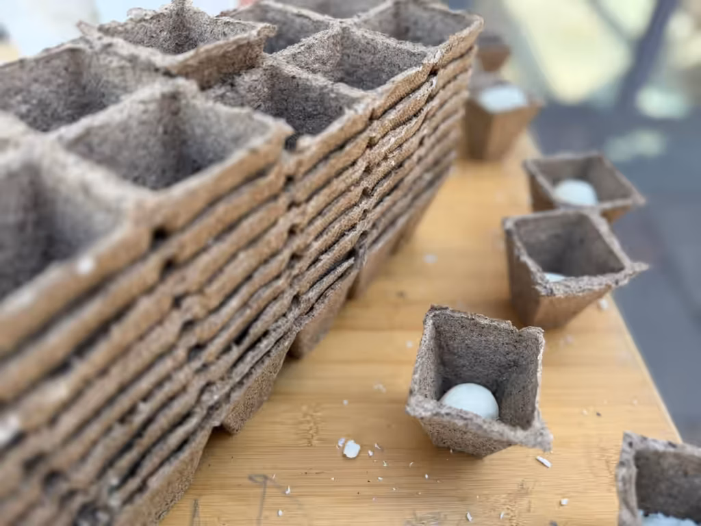 Italientour - fertige Seife aus Naturzutaten ohne Mikroplastik